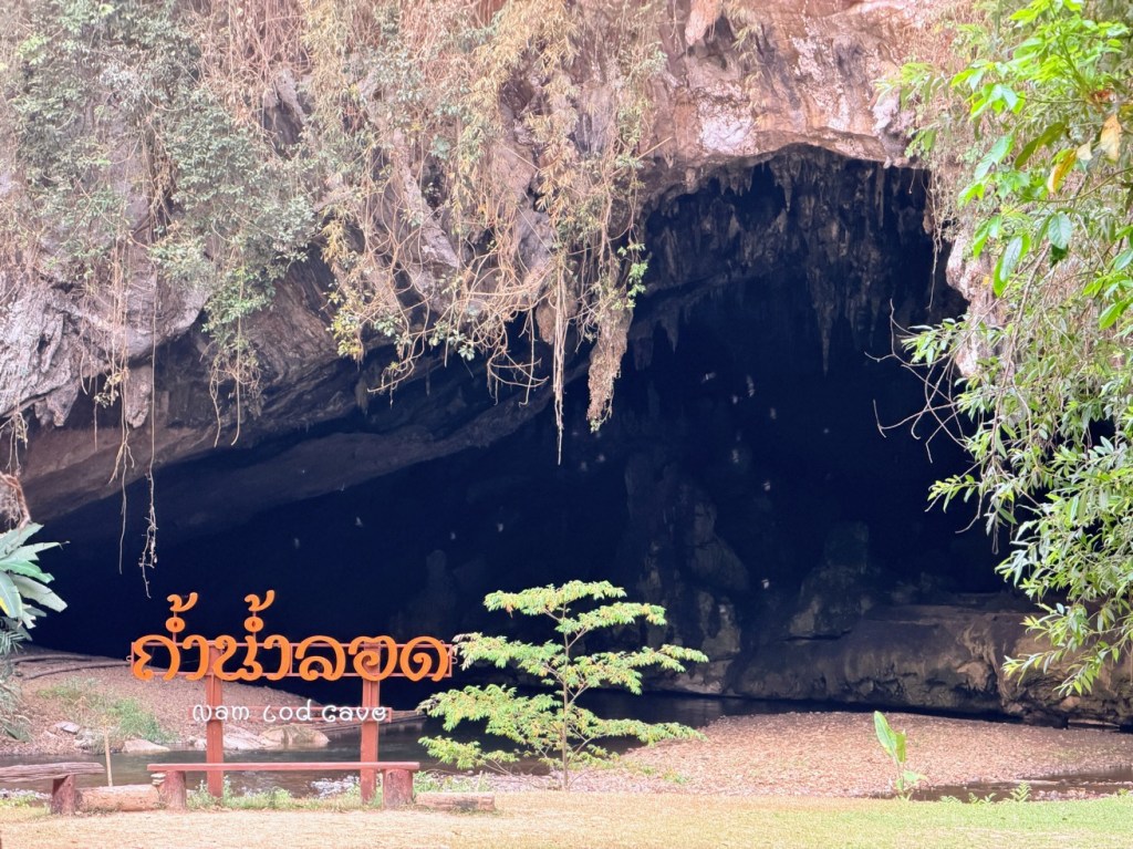 pai-nam-lod-cave-bats