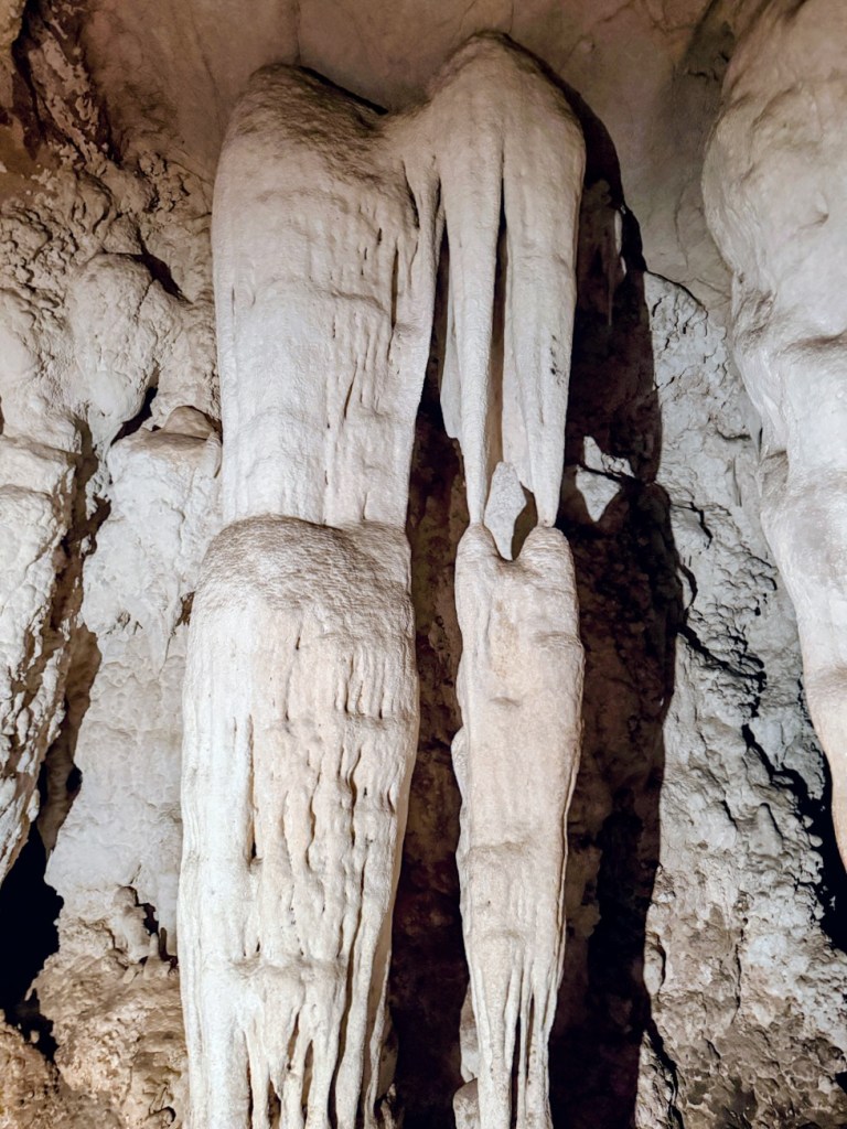 pai-nam-lod-cave-bats