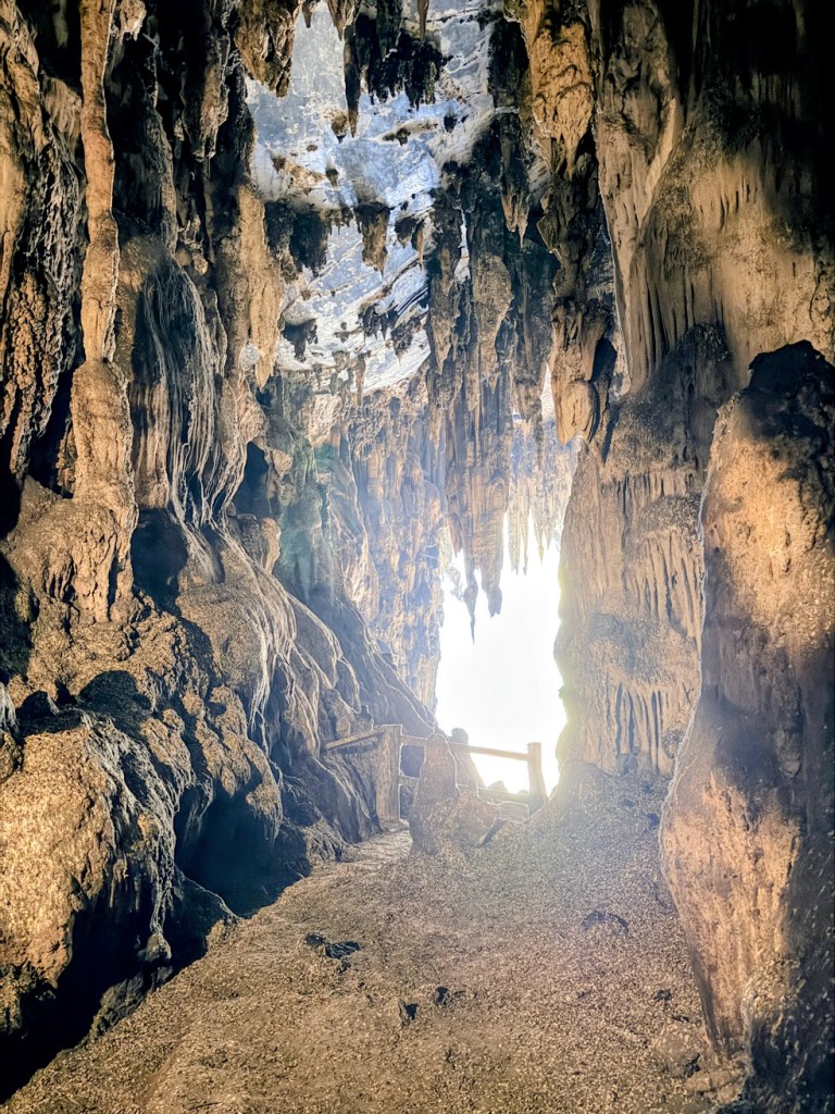 pai-nam-lod-cave-bats