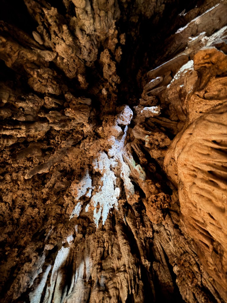 pai-nam-lod-cave-bats