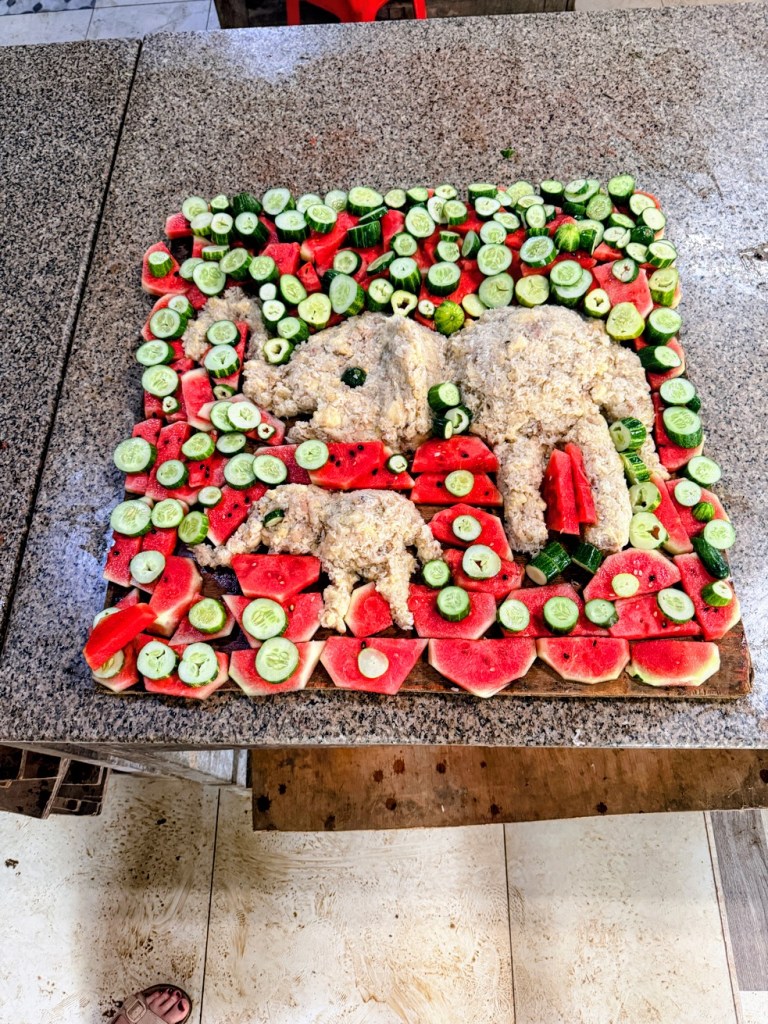 elephant-nature-park-chiang-mai