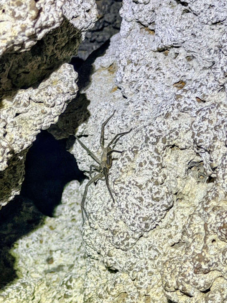 South Thailand island hopping