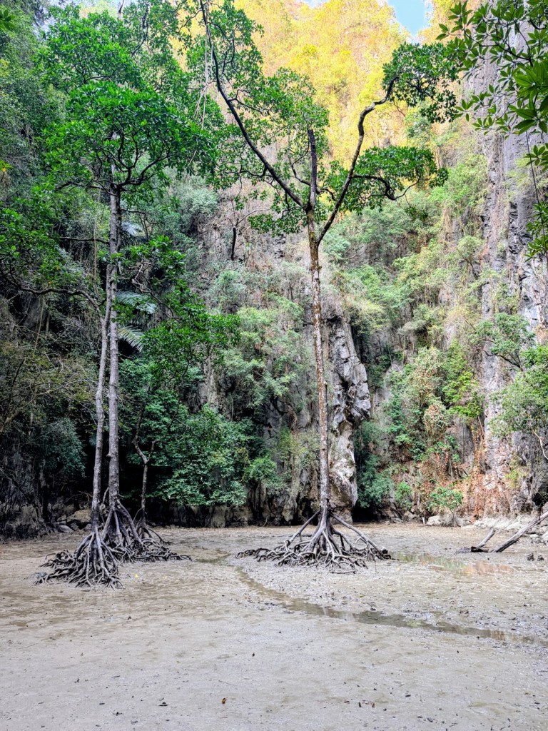 South Thailand island hopping