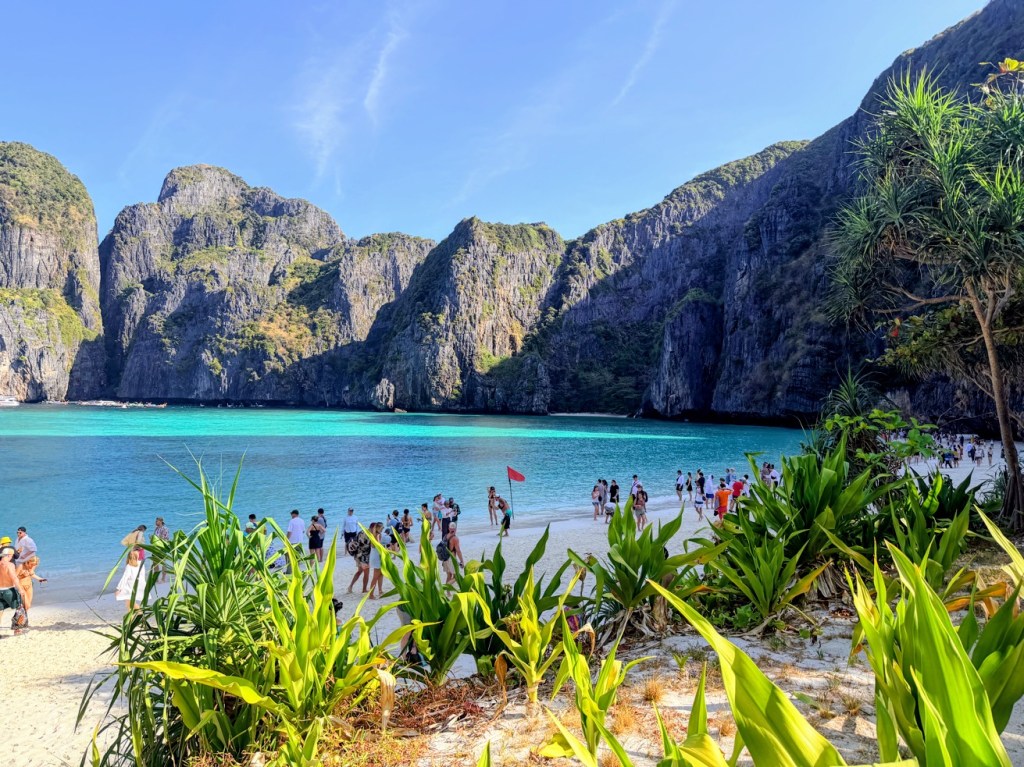 Phi Phi Maya Bay snorkeling