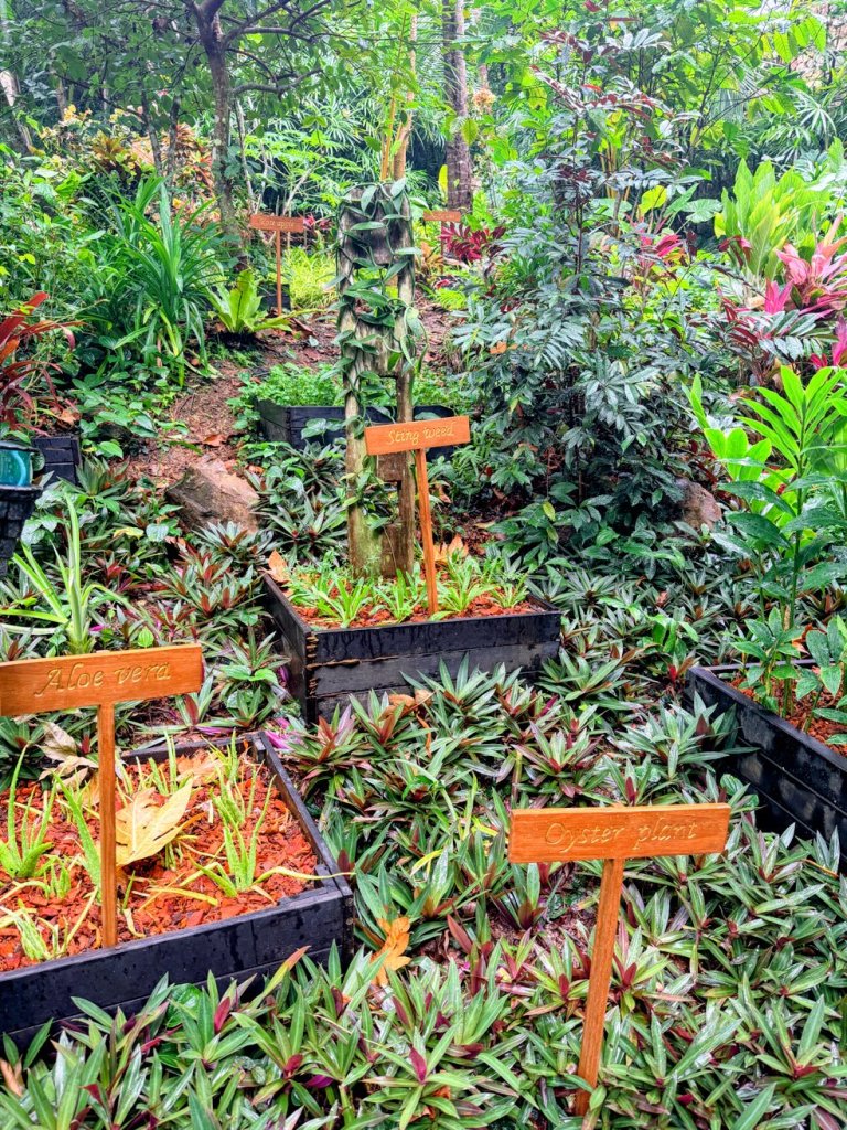 Four Seasons Resort Koh Samui