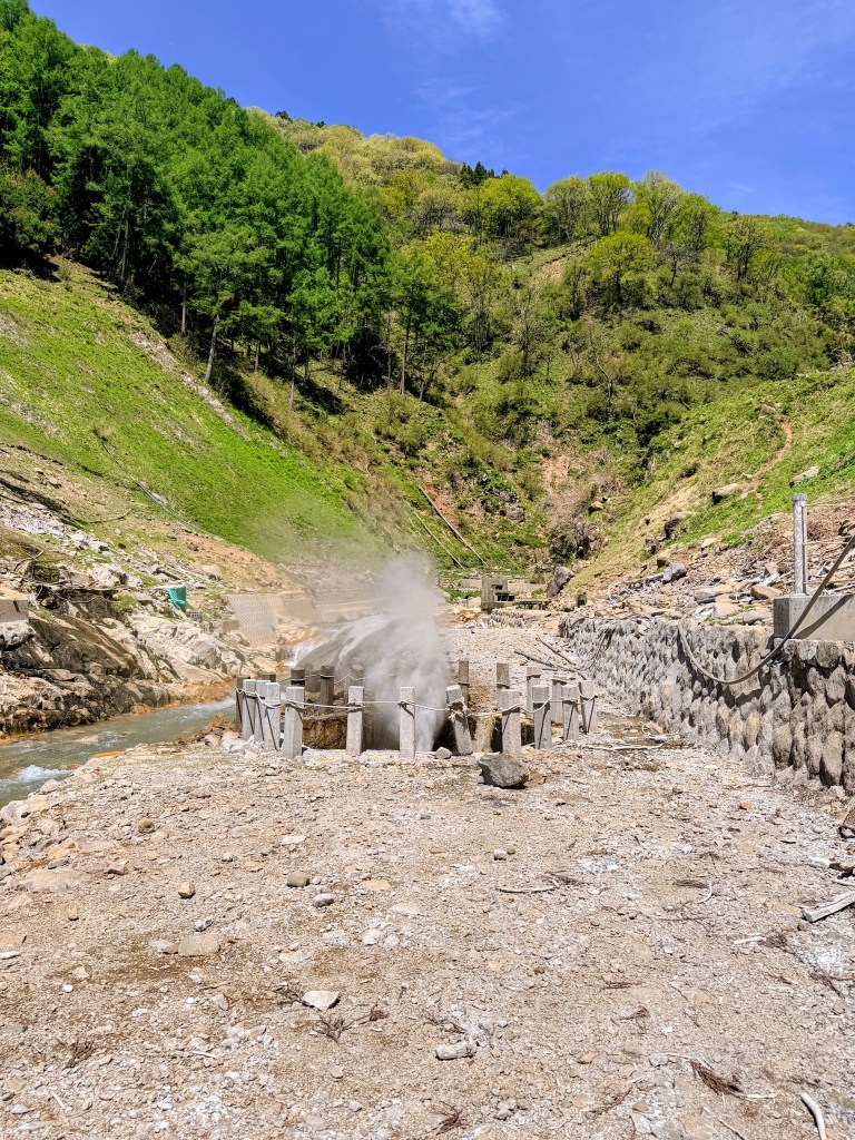 Jigokudani Monkey Park