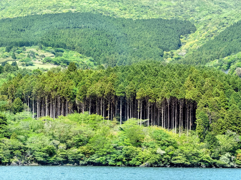 Lake Ashi