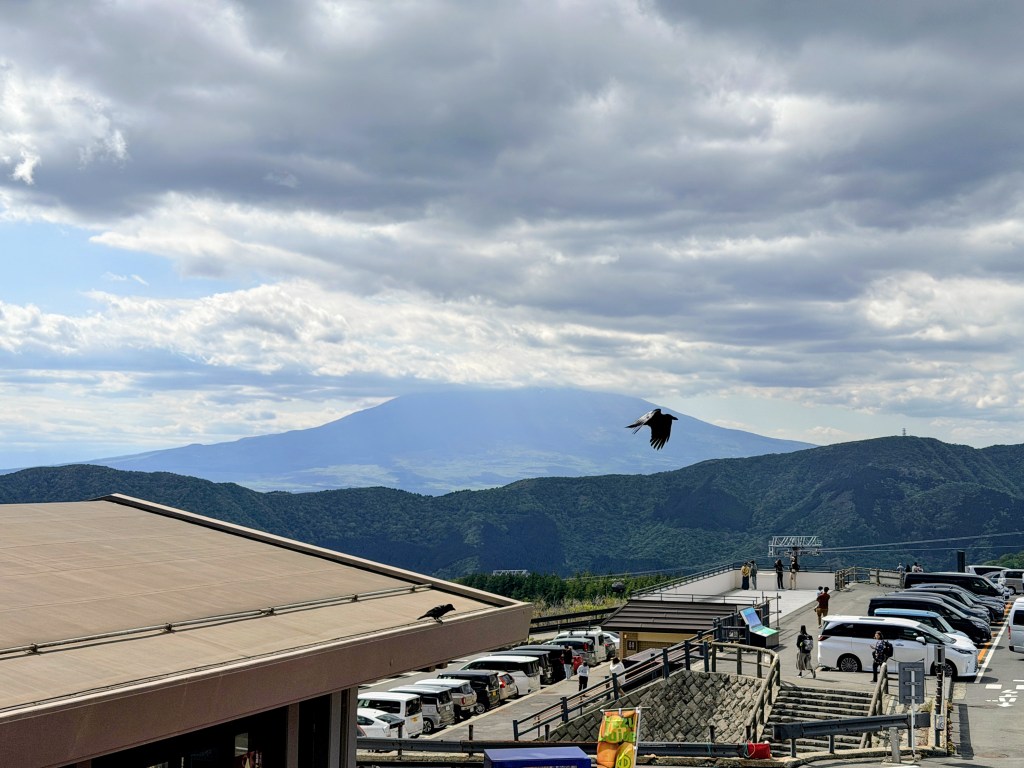 Mt. Fuji