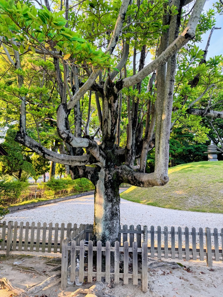 Peace Park Hiroshima