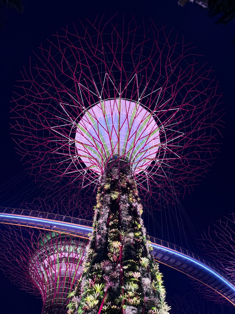 Gardens by the bay