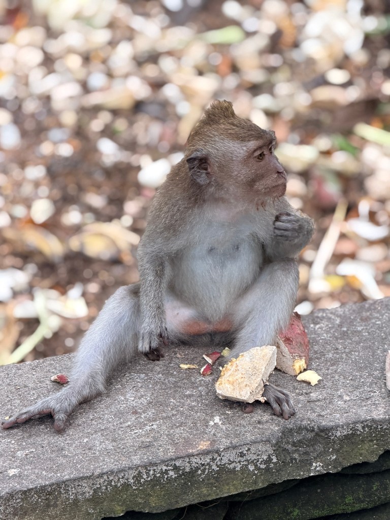 Monkey Forest Sanctuary
