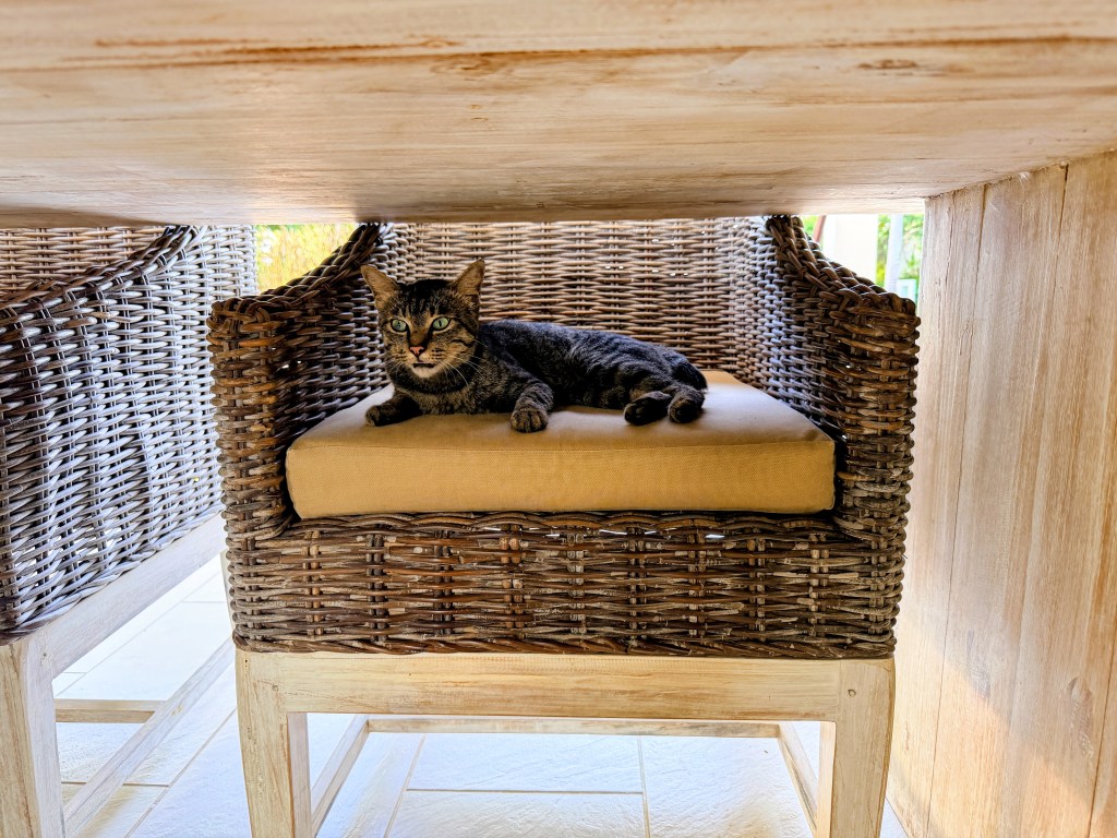 Villa Ibiza Lovina Beach