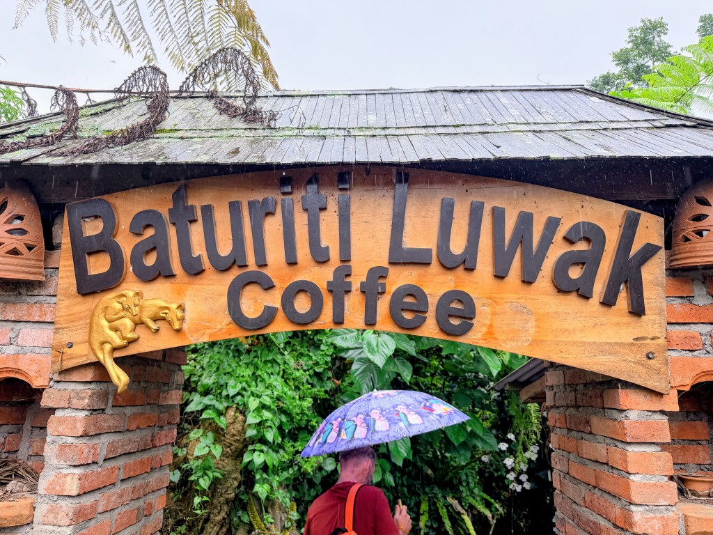Luwak coffee plantation