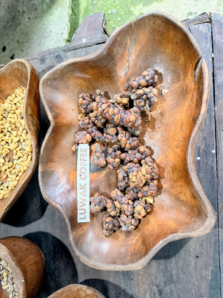 civet cats beans