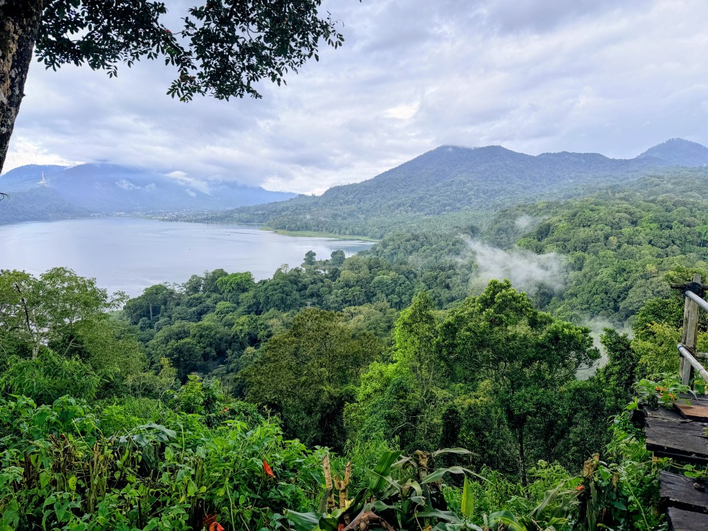 Twin Lakes Viewpoint