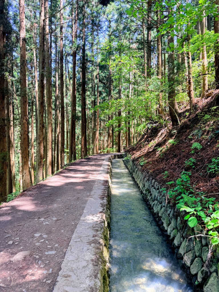 Jigokudani Monkey Park
