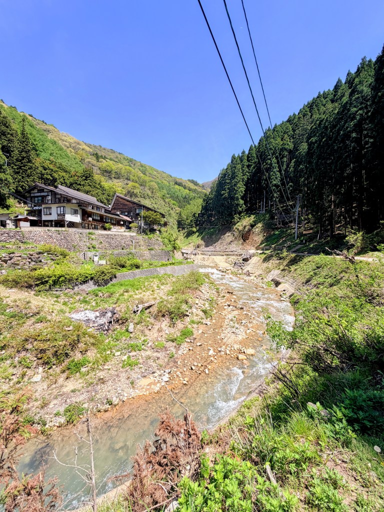 Jigokudani Monkey Park